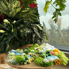 Little Lambs’ Forest Garden- Latch Hook Moss Coaster - Finished