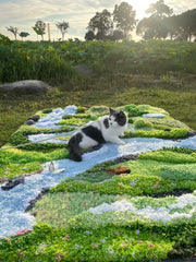 Spring Valley - Latch Hook Rug - Finished - 3D Moss Nature Landscape